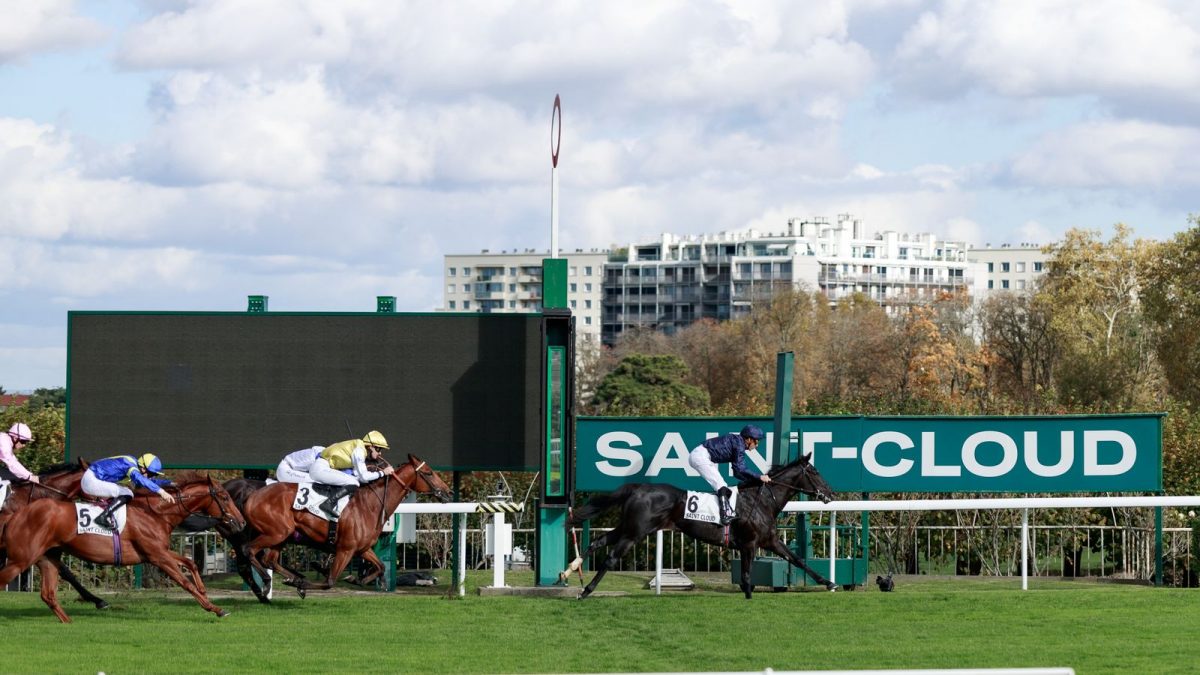 Ação em Paris: Puerto Rico Brilha nos 2.000 Guineas Franceses