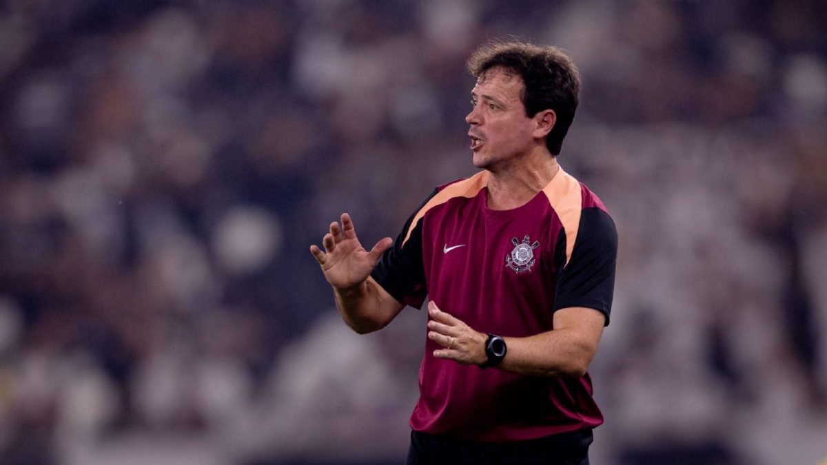 Diniz critica gramado sintético do Botafogo