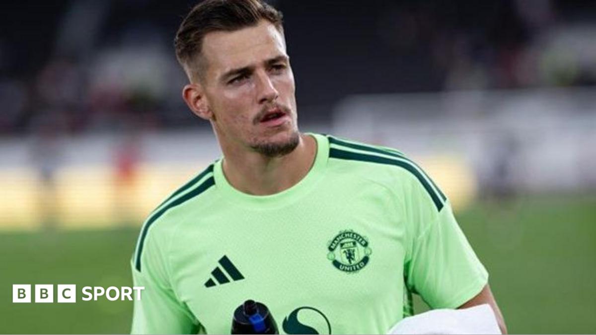 Middlesbrough Contrata Goleiro Radek Vitek