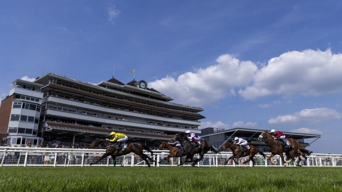 Never So Brave destaca em corridas de Saturday
